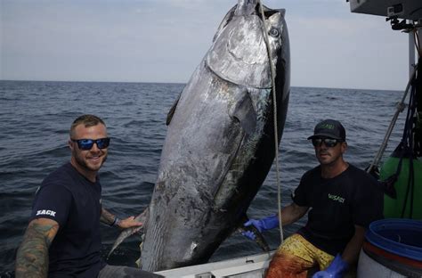 youtube wicked tuna|largest tuna caught on wicked.